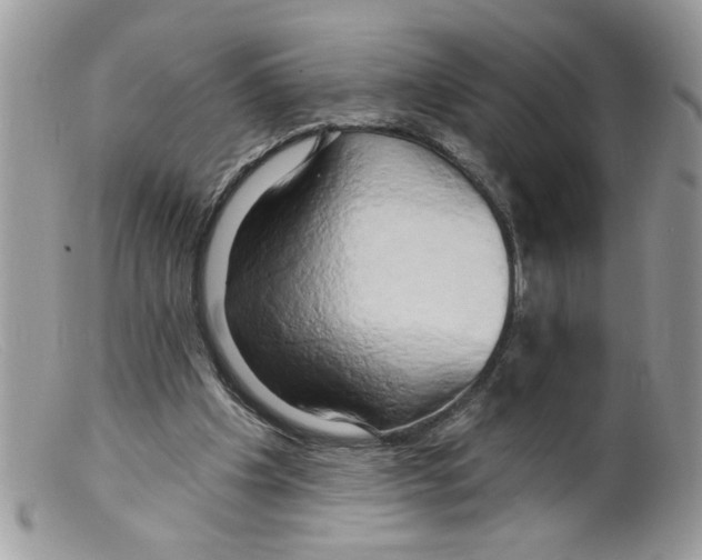 X0000098130201200805151123