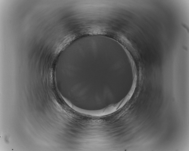 X0000098130202200805151123