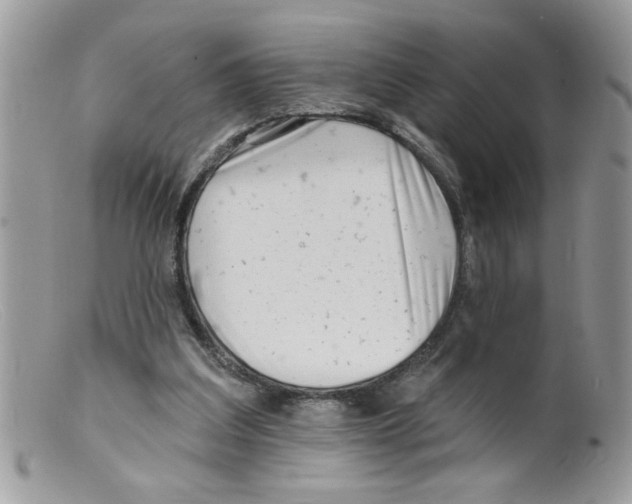 X0000098130203200805151123