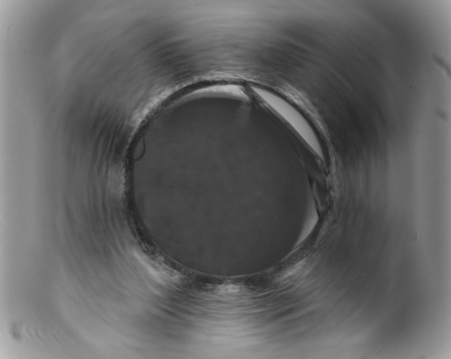 X0000098130204200805151123