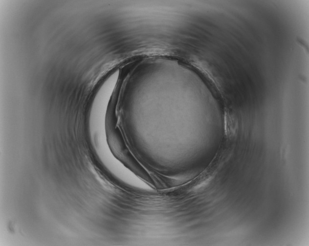 X0000098130205200805151123