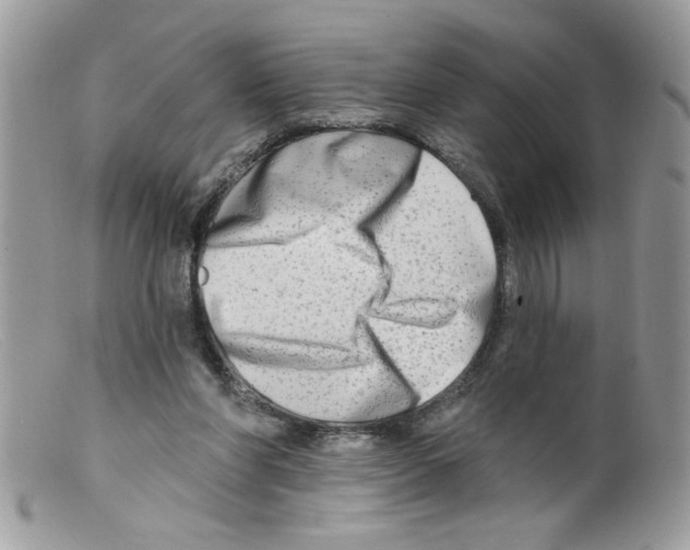 X0000098130206200805151123