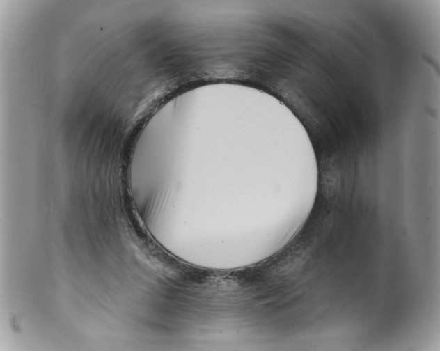 X0000098130207200805151123