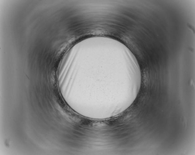 X0000098130208200805151123