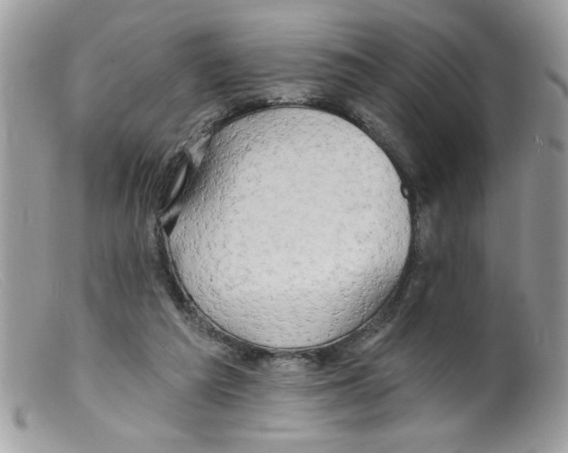 X0000098130209200805151123