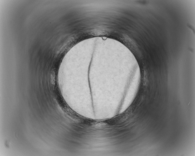 X0000098130210200805151123