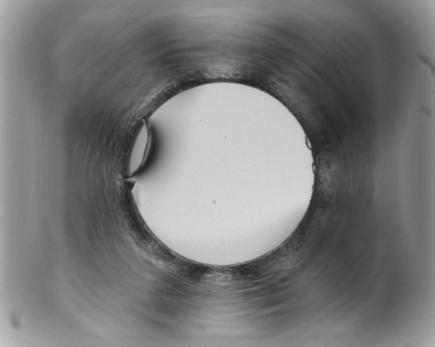 X0000098130211200805151123