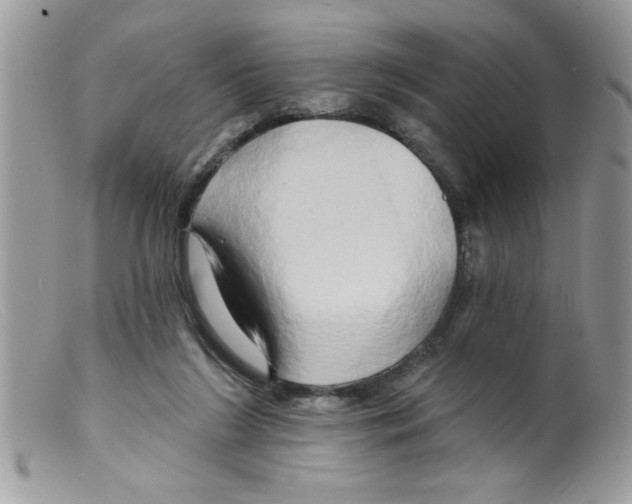 X0000098130212200805151123