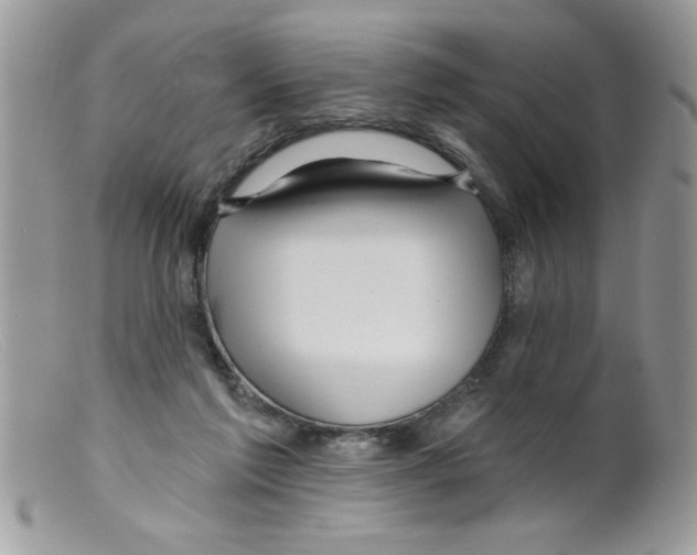 X0000098130213200805151123