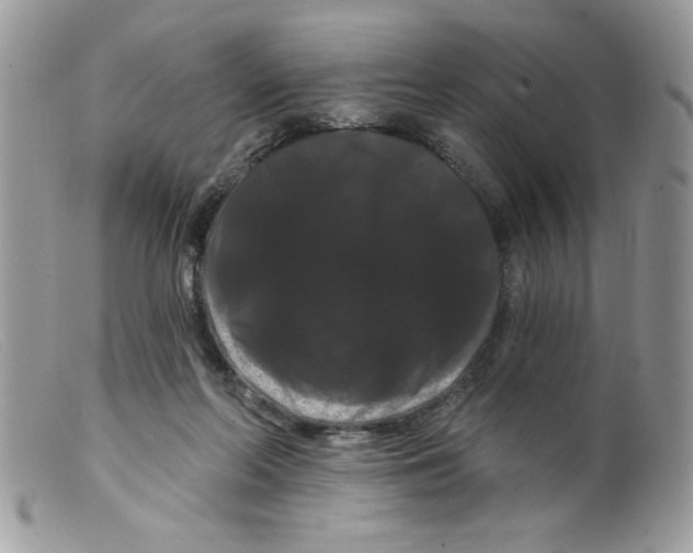 X0000098130214200805151123
