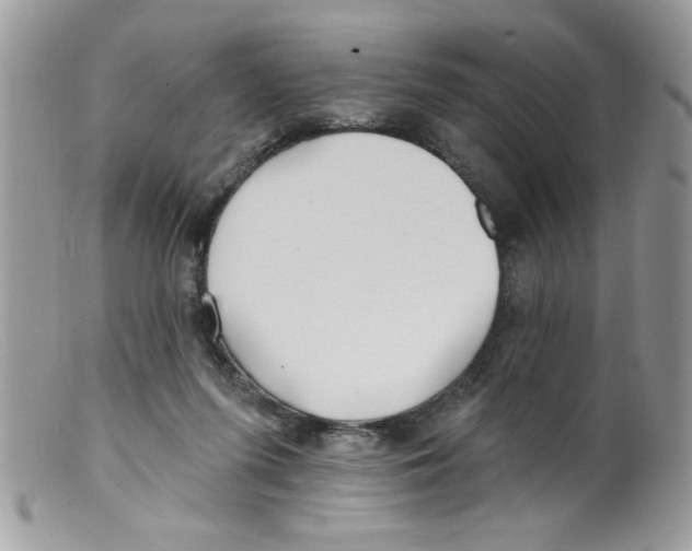 X0000098130215200805151123