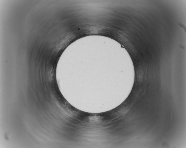 X0000098130216200805151123