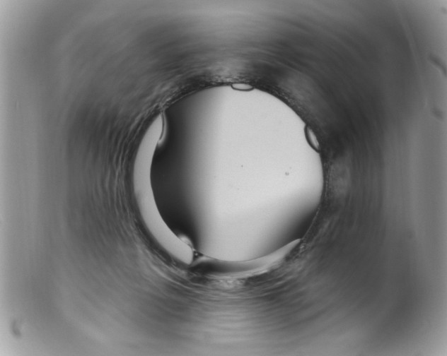 X0000098130217200805151123