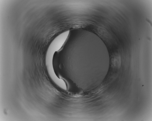 X0000098130219200805151123