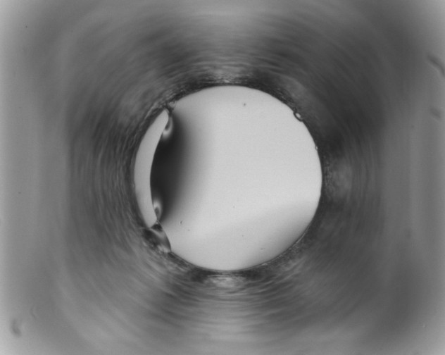 X0000098130221200805151123