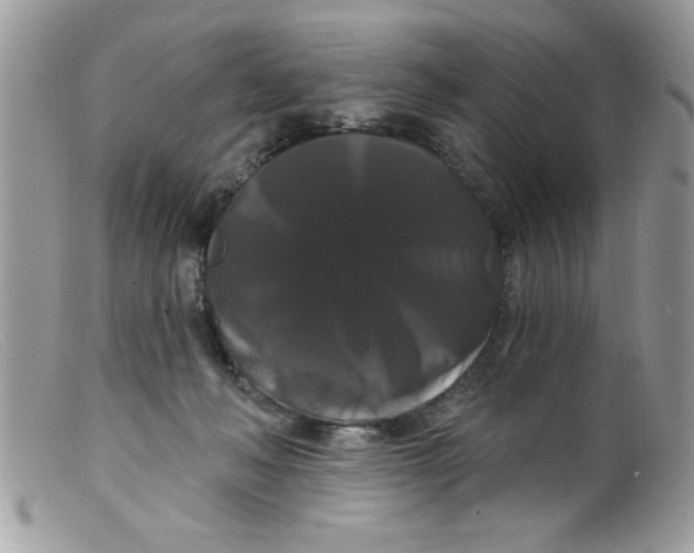 X0000098130222200805151123