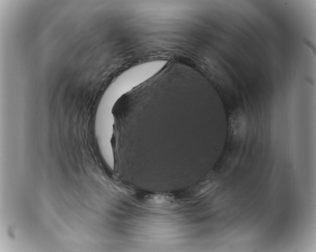 X0000098130223200805151123