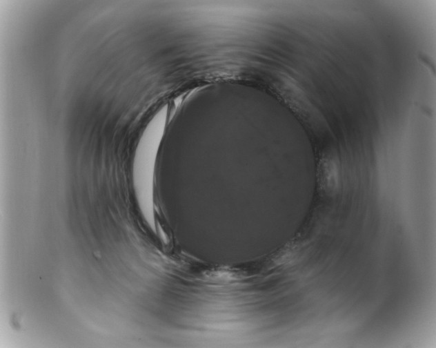 X0000098130224200805151123