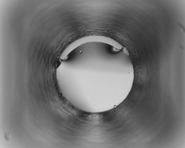 X0000098130225200805151123