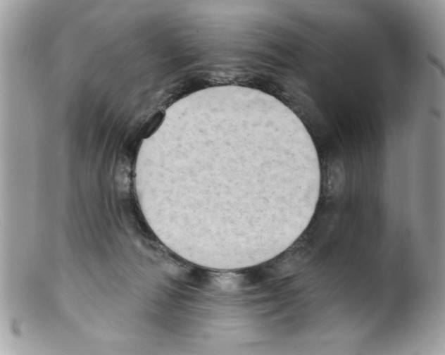 X0000098130226200805151123