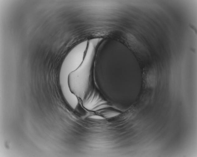X0000098130227200805151123