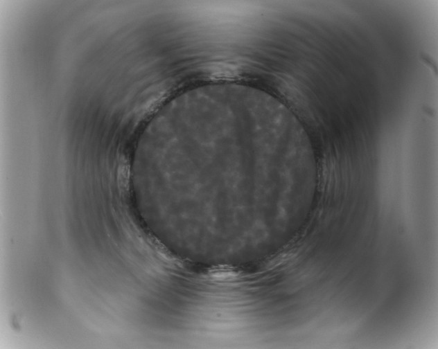 X0000098130228200805151123