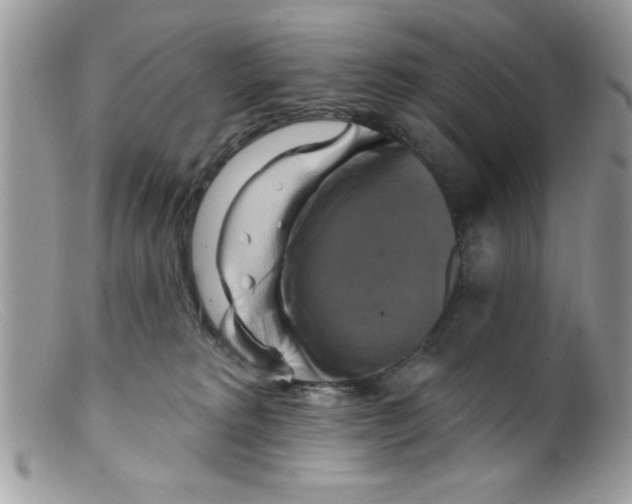 X0000098130229200805151123