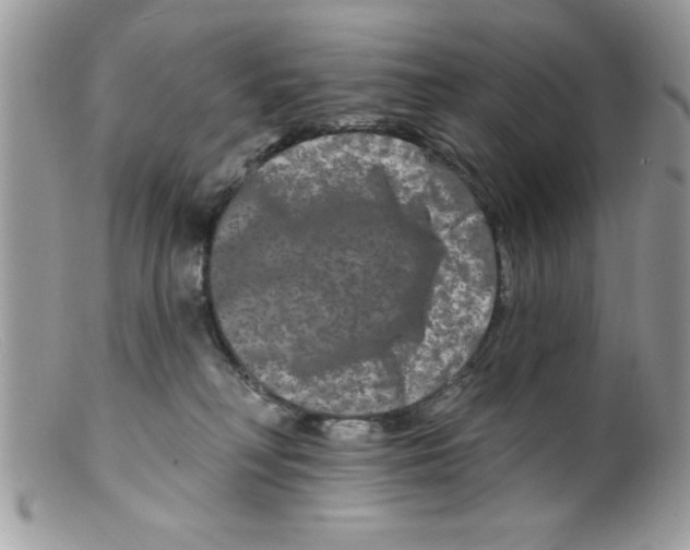X0000098130230200805151123
