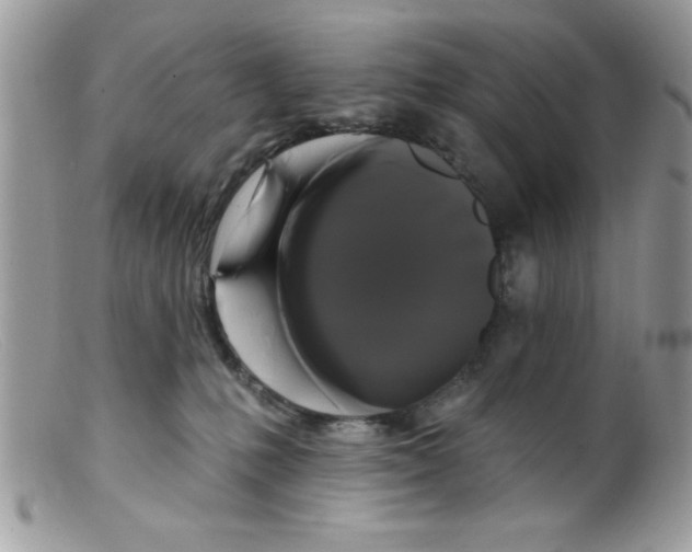 X0000098130231200805151123