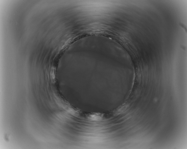 X0000098130232200805151123