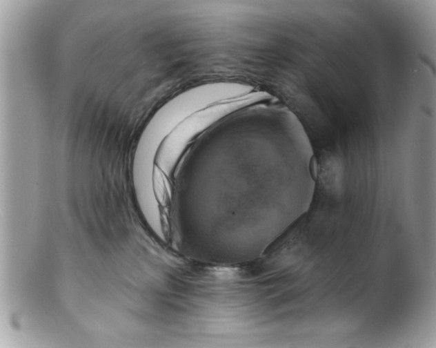 X0000098130233200805151123