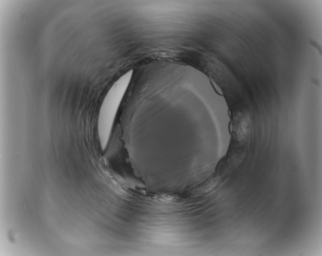 X0000098130235200805151123