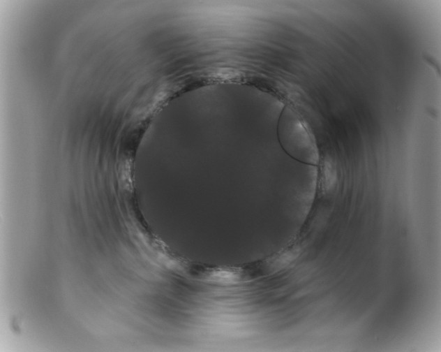 X0000098130236200805151123