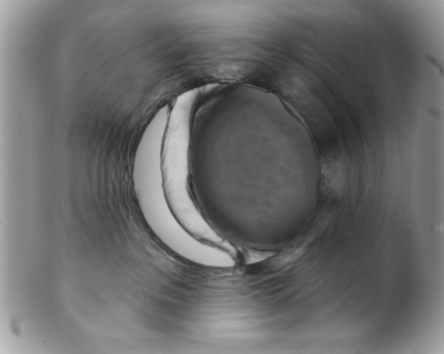X0000098130237200805151123