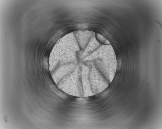 X0000098130238200805151123