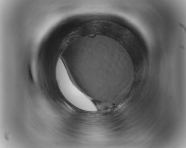 X0000098130239200805151123