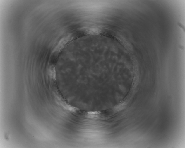 X0000098130240200805151123