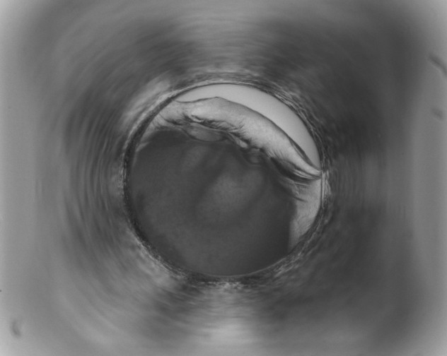 X0000098130243200805151122