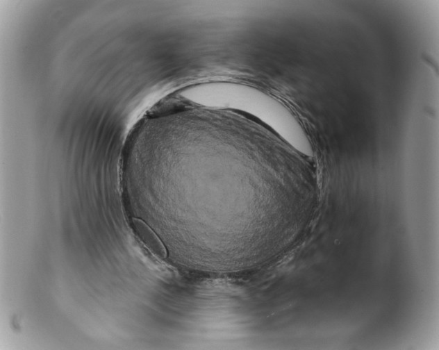 X0000098130244200805151122