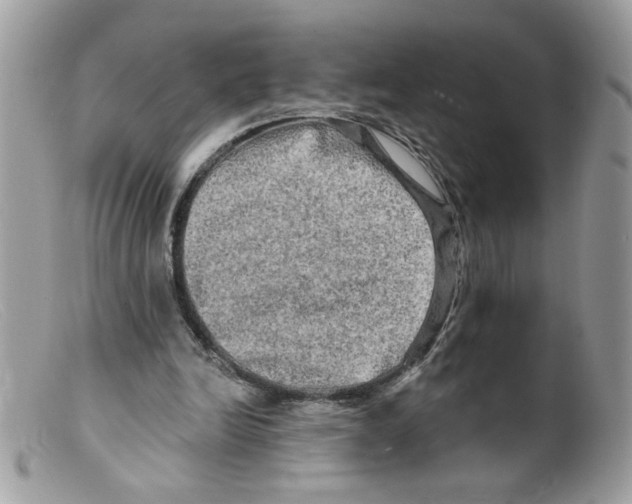 X0000098130246200805151122