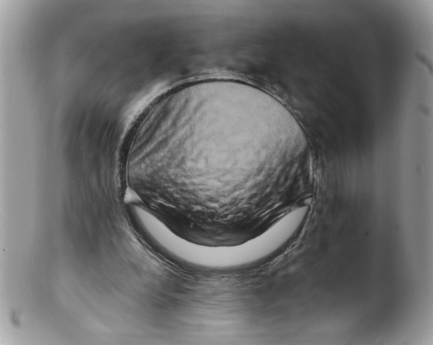 X0000098130248200805151122