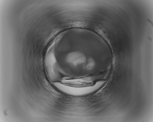 X0000098130249200805151122