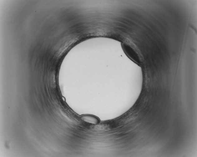 X0000098130251200805151122