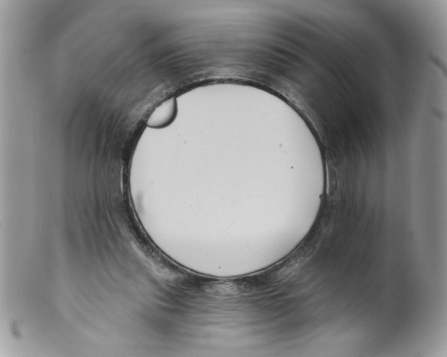 X0000098130253200805151122