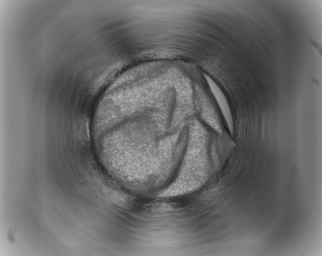 X0000098130254200805151122