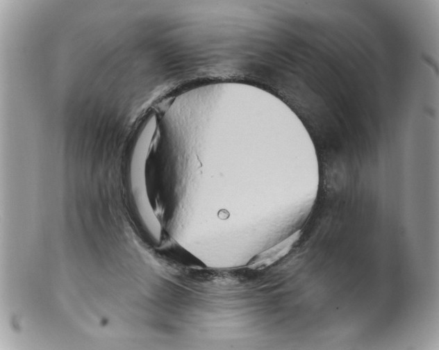 X0000098130256200805151122