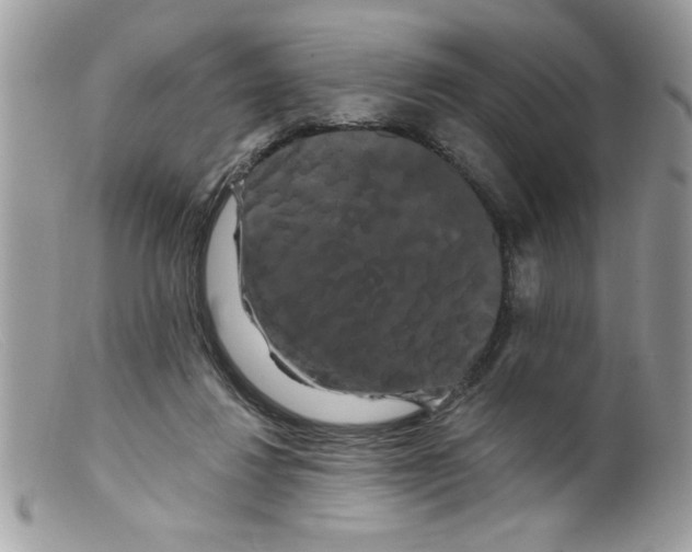 X0000098130260200805151122