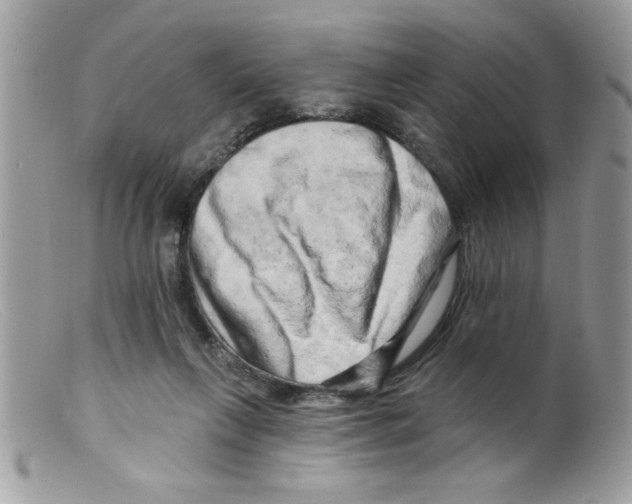 X0000098130263200805151122