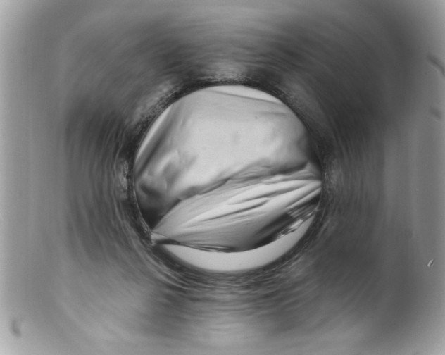 X0000098130264200805151122