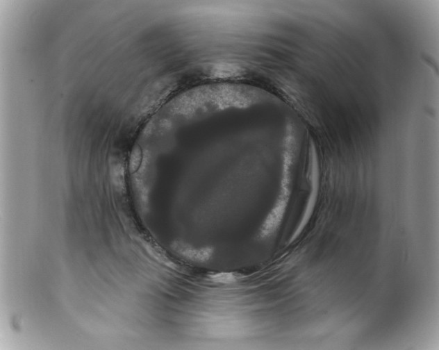X0000098130269200805151122